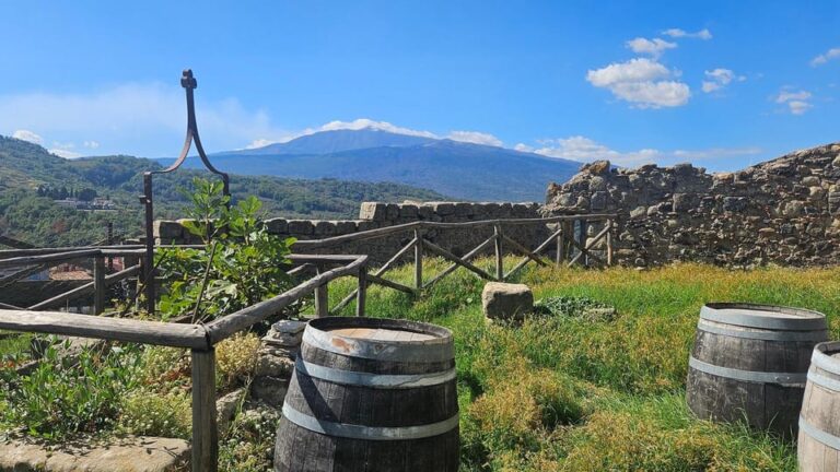 ETNA VILLAGES: OIL & RICOTTA TASTING With Lunch