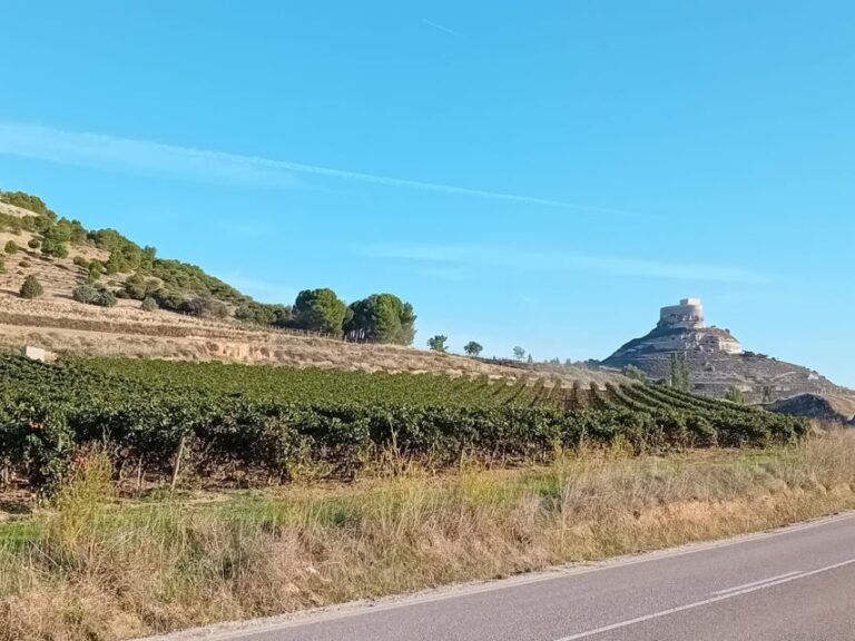 Explore 3 Ribera Del Duero Wineries With Madrid Pickup