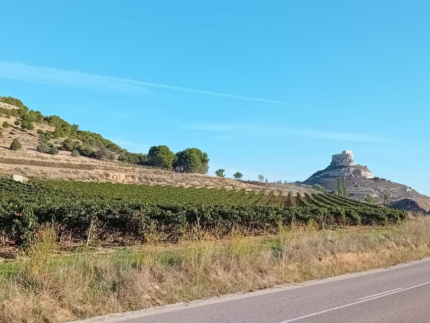 Explore 3 Ribera Del Duero Wineries With Madrid Pickup - Winery Visits and Tastings
