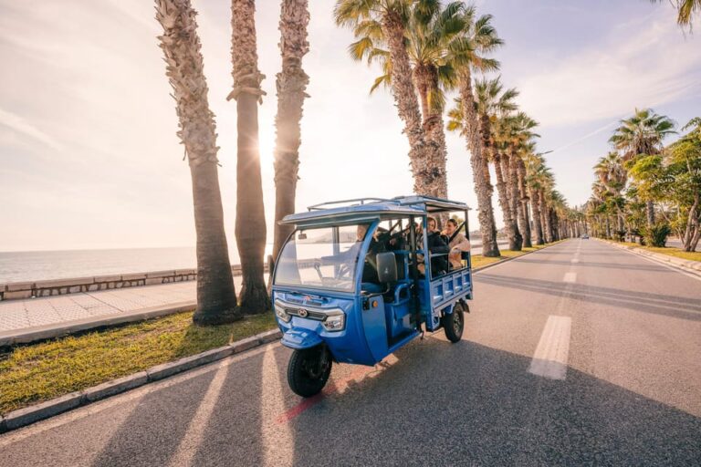 Express Tuktuki Tour in Malaga: Gibralfaro Viewpoint and Photography