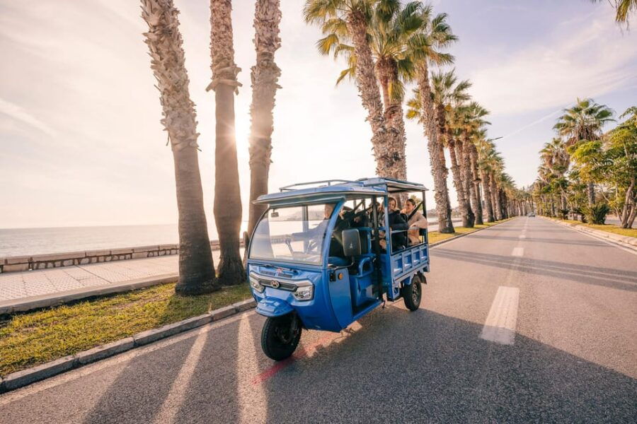 Express Tuktuki Tour in Malaga: Gibralfaro Viewpoint and Photography - Tour Overview and Details