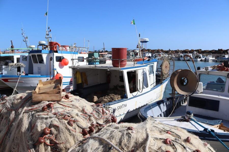 Fishing in Selinunte and Lunch With Cooking of the Catch - Experience the Thrill of Fishing in Selinunte