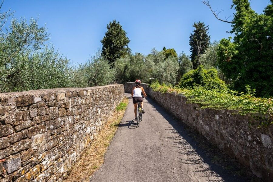 Florence: Half-Day Tuscan Countryside Bike Tour and Tastings - Overview of the Tuscan Countryside Bike Tour