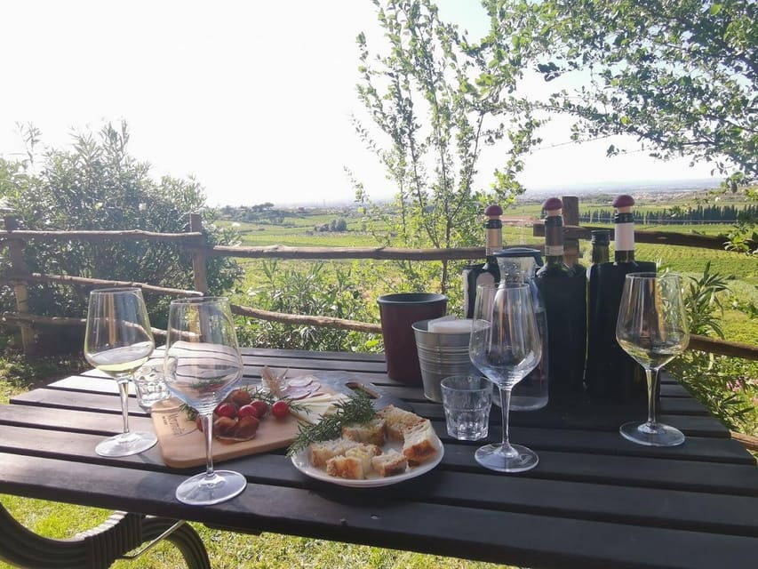 Frascati: 2-Hours Wine and Oil Tasting With Vineyards Tour - Overview of Frascati Wine and Oil Experience