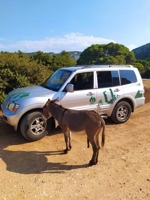 From Arbatax: 4hour Jeep Tour of the Golgo Plateau in Baunei