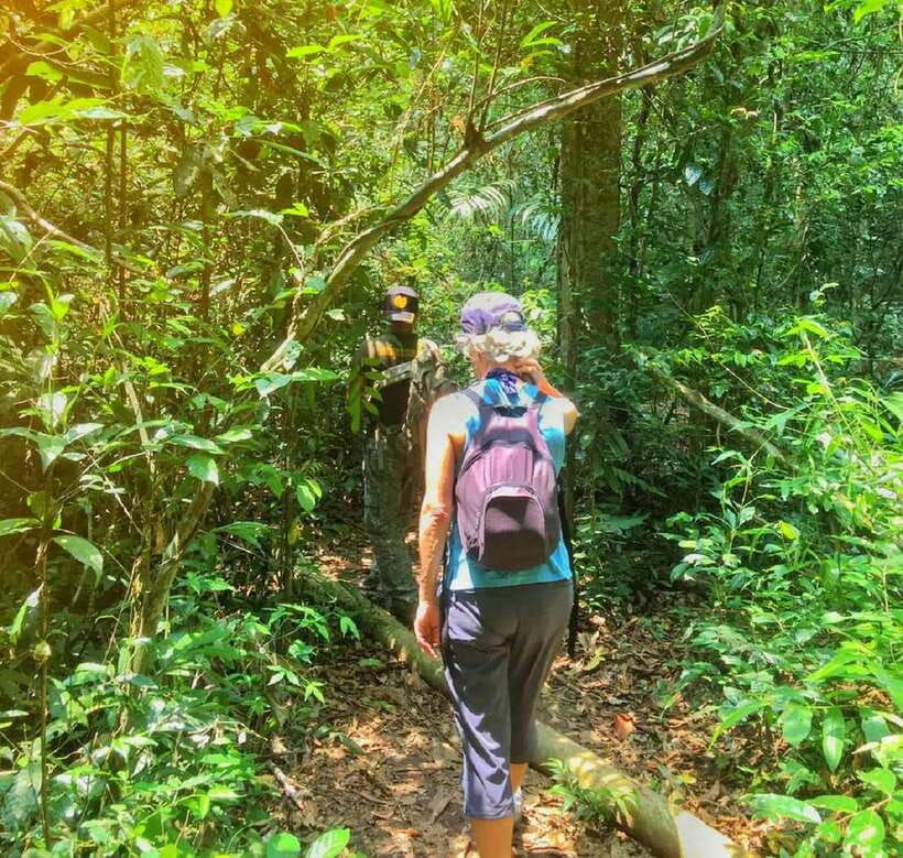 From Bangkok: Khao Yai National Park Small-Group Day Trip - Trip Overview