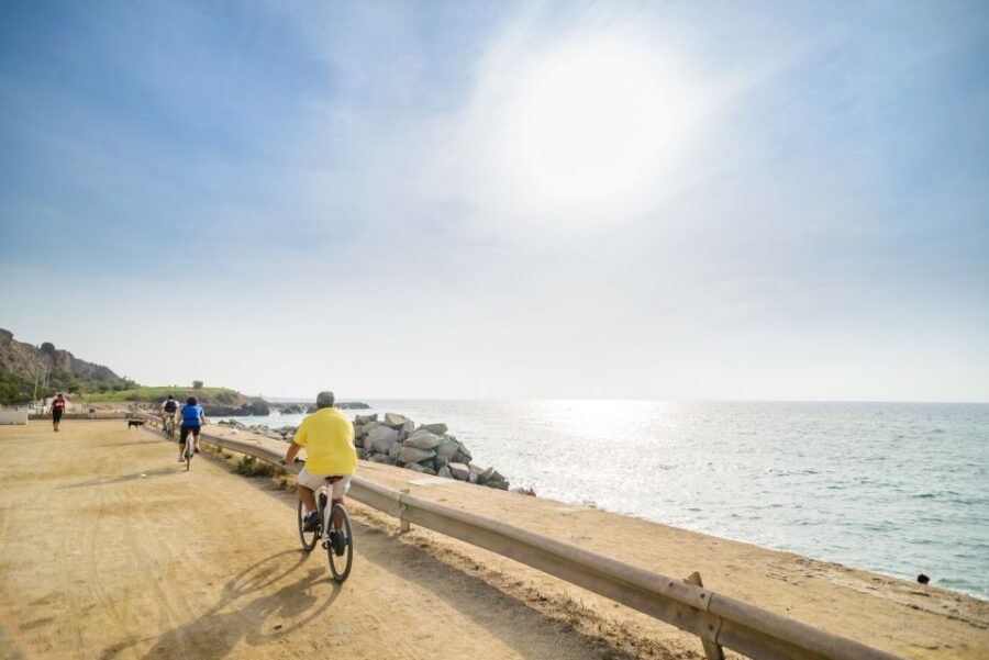 From Barcelona: Private Alella Wine Tour by Electric Bike - Tour Overview and Pricing
