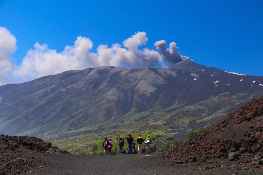 From Catania: Etna Volcano Guided Morning Tour - Overview of the Tour Experience