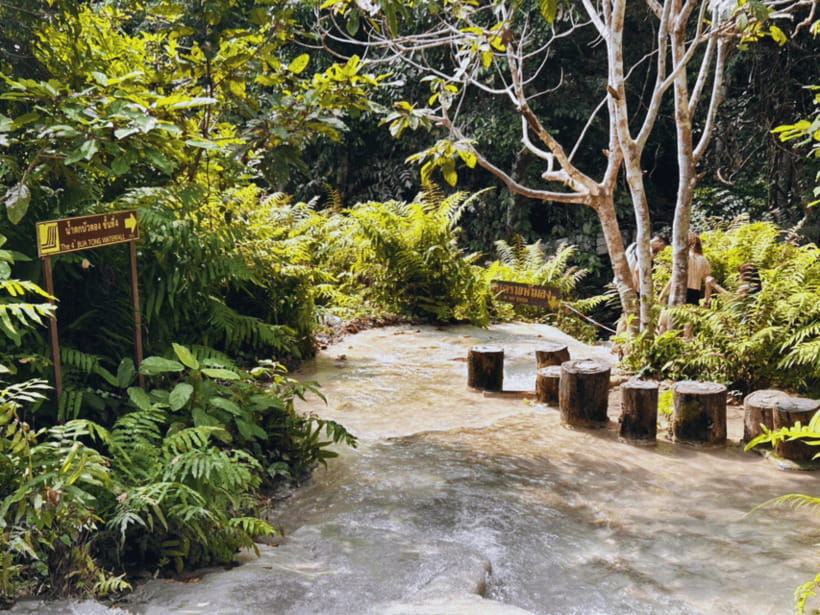 From Chang Mai: Sticky Waterfall Private Day Trip - Overview and Pricing