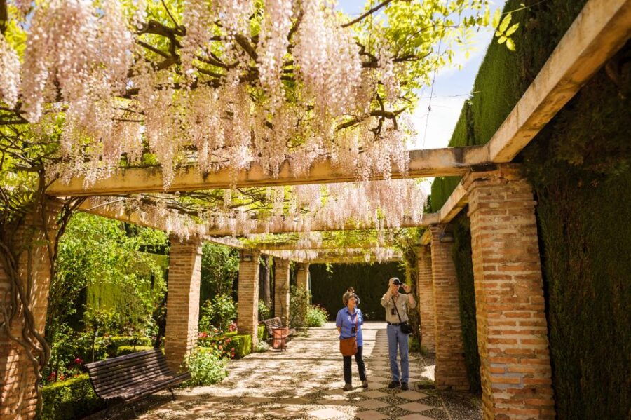 From Costa Del Sol: Granada, Alhambra & Generalife Tour - Tour Overview and Pricing