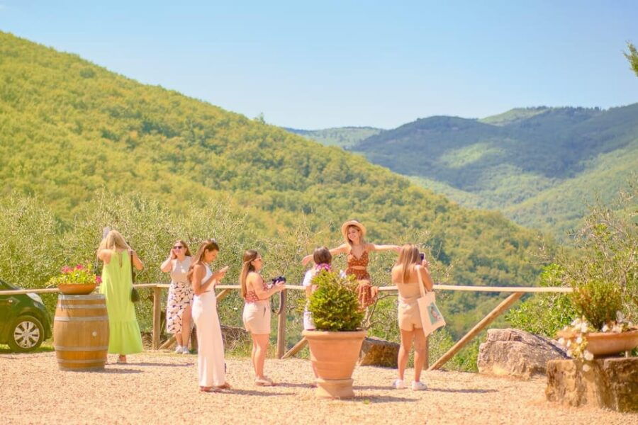 From Florence: Chianti Wineries Tour With 7 Wine Tastings - Discovering the Chianti Region