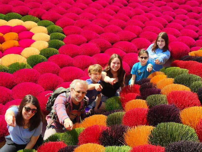 From Hanoi: Perfume Pagoda Tour and Quang Phu Cau 1 Day - Tour Overview and Pricing