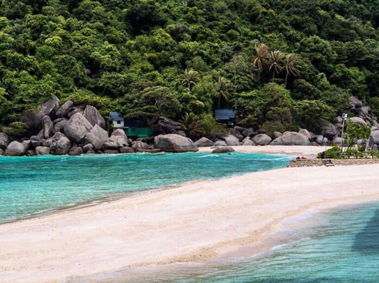 From Koh Samui: Private Speedboat Tour to Koh Tao & Nangyuan