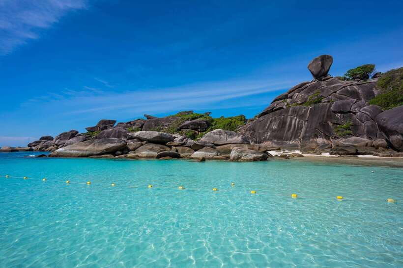 From Krabi: Similan Islands Day Trip by Speedboat - Tour Overview and Pricing