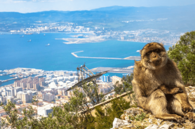 From Marbella: Gibraltar Private Day Trip With Local Guide