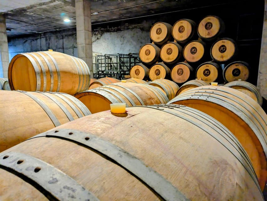 From Palma De Mallorca: Private Wine and Local Flavors Tour - Tour Overview