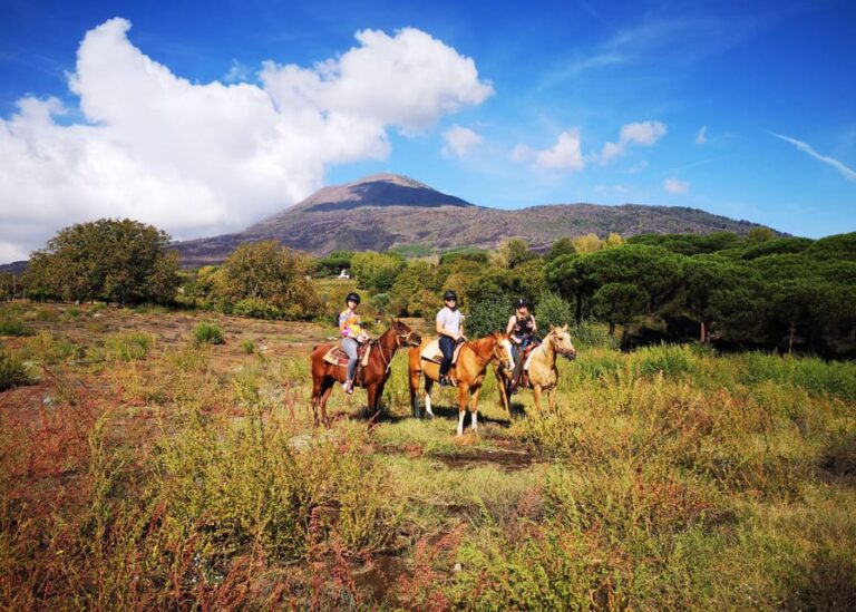From Pompeii: Mount Vesuvius Horseback Riding Tour