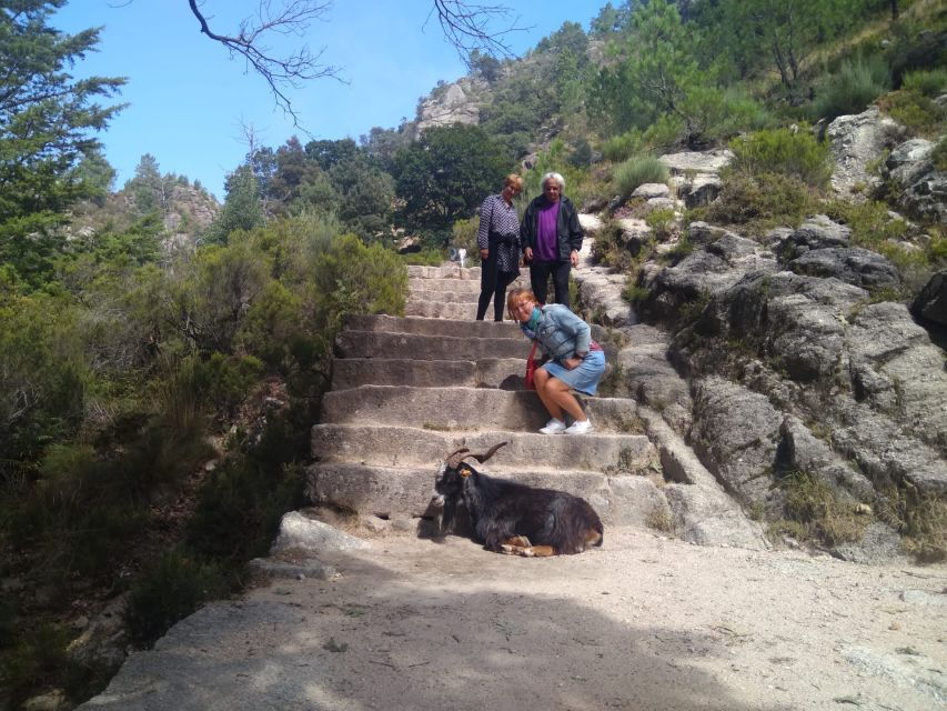 From Porto: Guided Tour to Gerês Park - Tour Overview