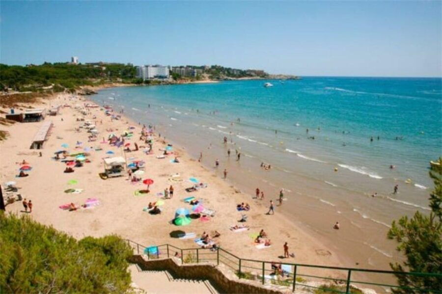 From Salou: Scaladei Charterhouse, Lunch and Wines - Tour Overview and Pricing