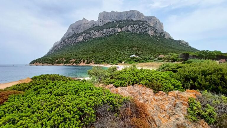 From San Teodoro: Tavolara Archipelago Mini Tour