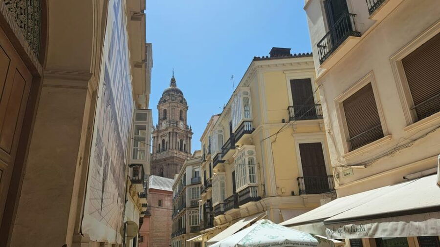 From Seville: Malaga Private Day Trip With Guide - Overview and Pricing