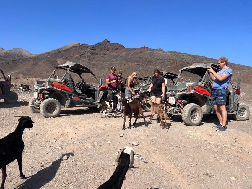 Fuerteventura: Buggy Tour in Punta De Jandía - Tour Overview