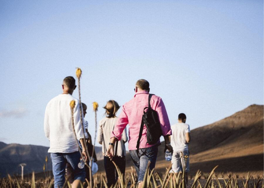 Fuerteventura Organic Farm Guided Tour With Optional Lunch - Highlights of the Guided Farm Experience