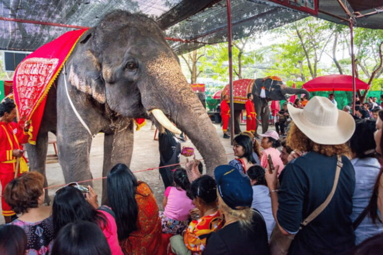 Full Day : Bangkok-Ayutthaya UNESCO World Heritage Site