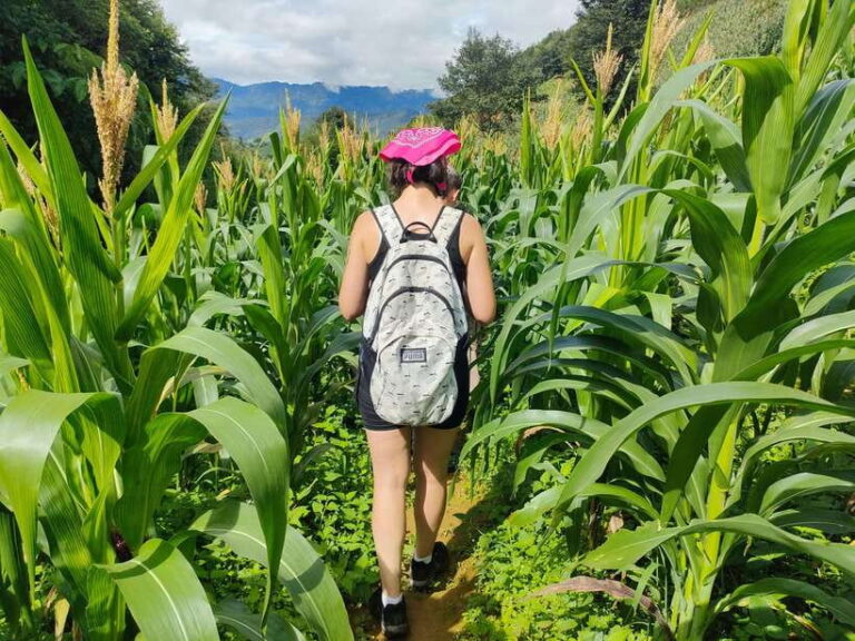 Full Day Private Trekking Mu Cang Chai