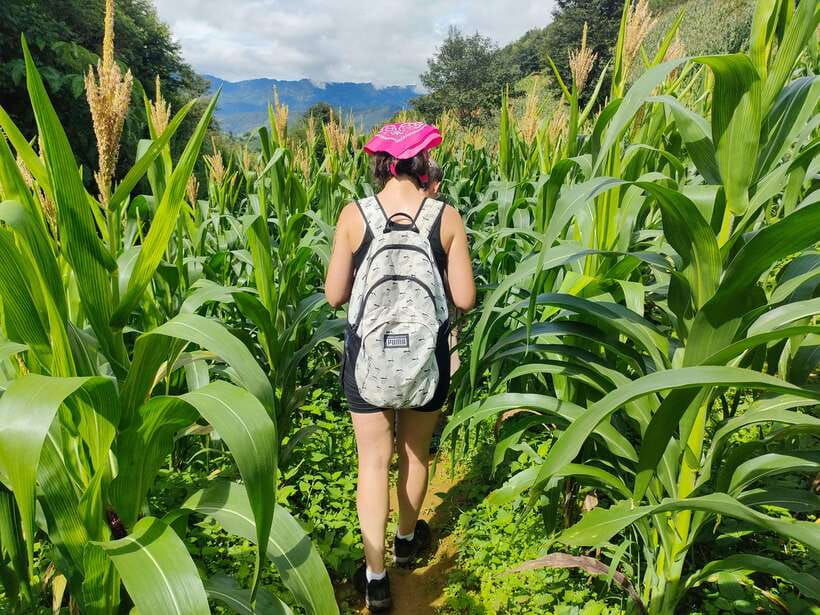 Full Day Private Trekking Mu Cang Chai - Activity Overview