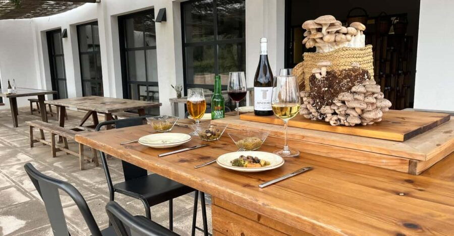 GASTRONOMIC MUSHROOM EXPERIENCE. Tour Not Included - Experience Overview