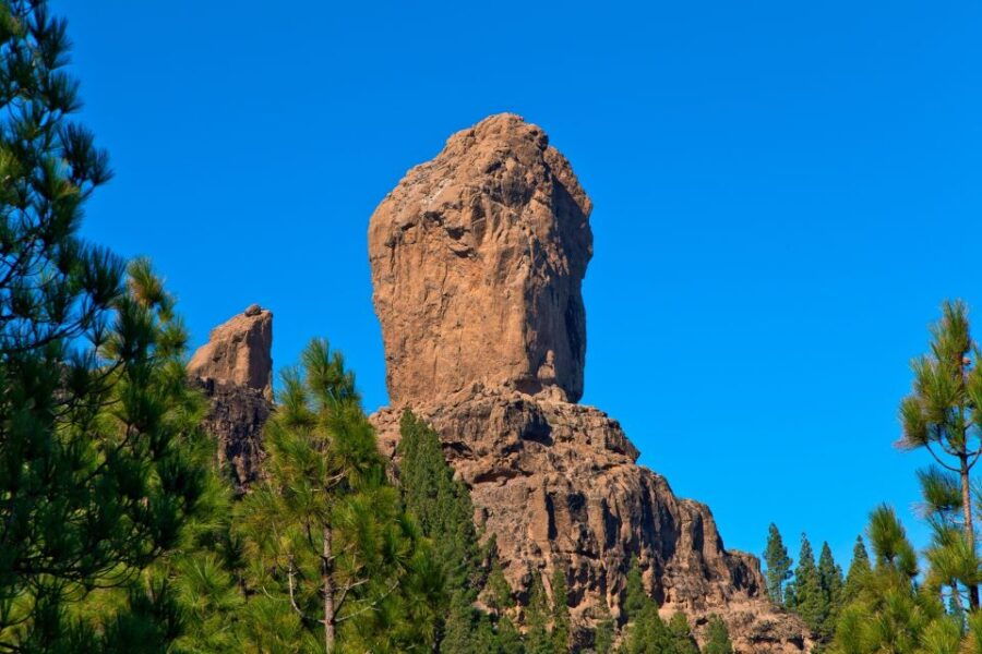 Gran Canaria: Full-Day VIP Tour by Bus - Tour Overview