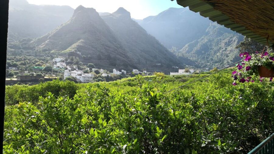 Gran Canaria: Grand Island Tour by Bus With Transfers - Tour Overview and Pricing