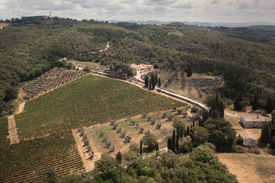 Gran Cru Wines Tasting - Mocenni Estate - Overview of Gran Cru Wines Tasting