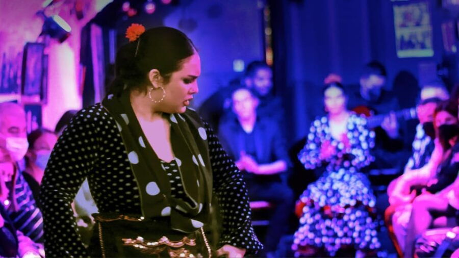 Granada: Flamenco Show at Cueva De La Rocío - Highlights of the Flamenco Experience