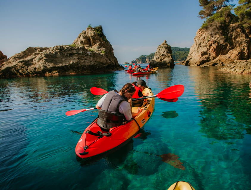 GUIDED KAYAKING TOUR - BEGINNER 1h 15m - Activity Highlights