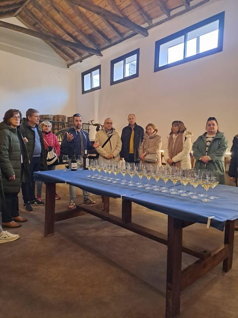 GUIDED TOUR OF CHINCHON + VISIT TO NERO WINERY WITH WINE TASTING - Tour Overview