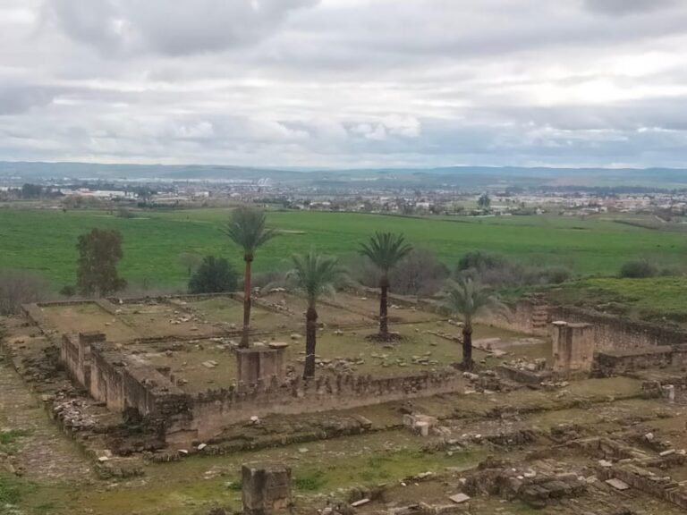 Guided Tour of Medina Azahara Only in French
