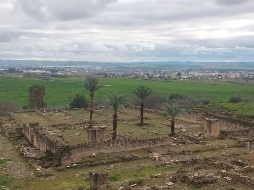 Guided Tour of Medina Azahara Only in French - Tour Overview