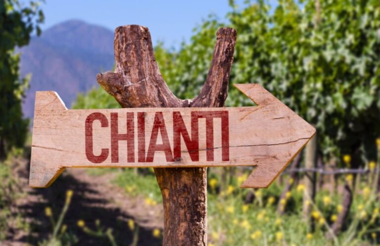 Half-Day Hills Experience to San Gimignano With Pic Nic Wine