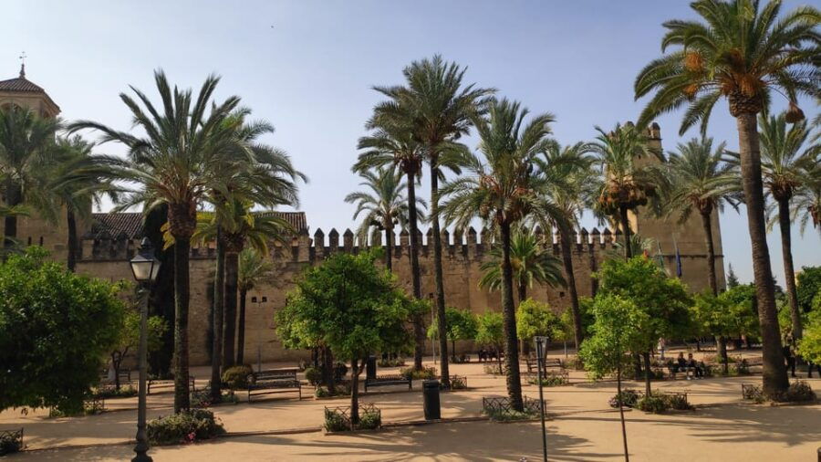 Heritage Córdoba: the Most Essential Tour in Córdoba - Tour Overview and Pricing