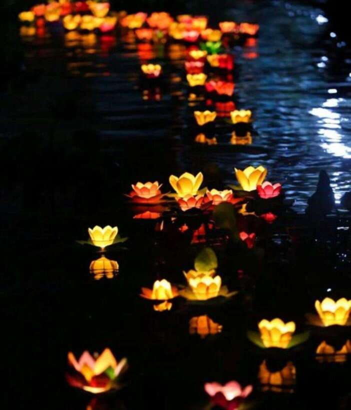 Hoi An: Private Night Boat Trip & Release Lantern on River - Explore Hoi Ans Waterways at Night