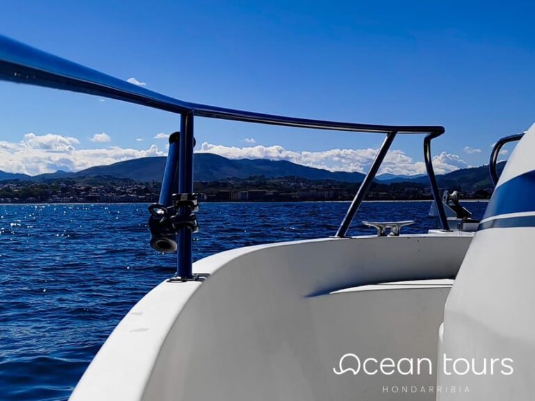 Hondarribia: 4-hour FISHING Day