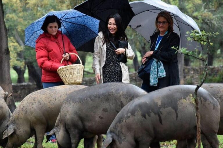 Iberian Ham Route and Cate in the Sierra De Aracena