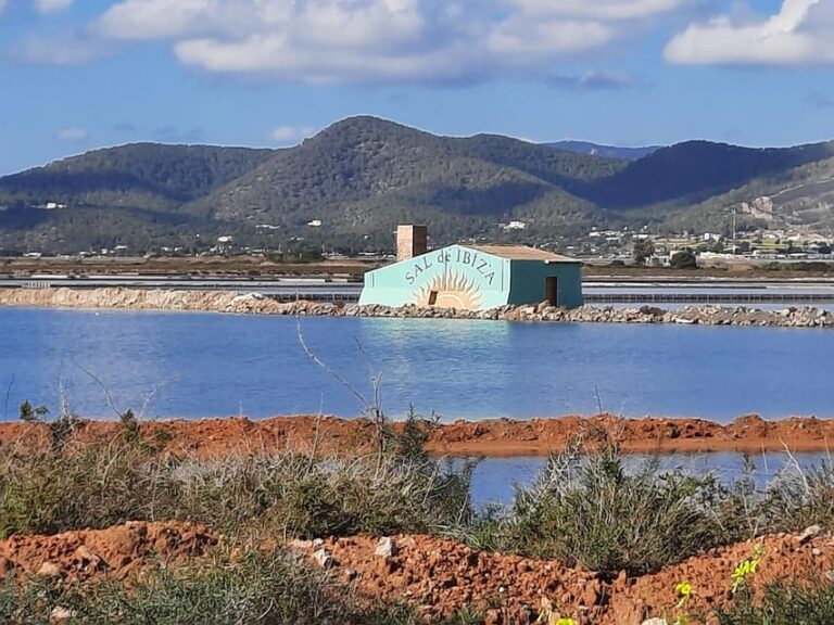 Ibiza: Salines Bike Tour to See Flamingos and Salt