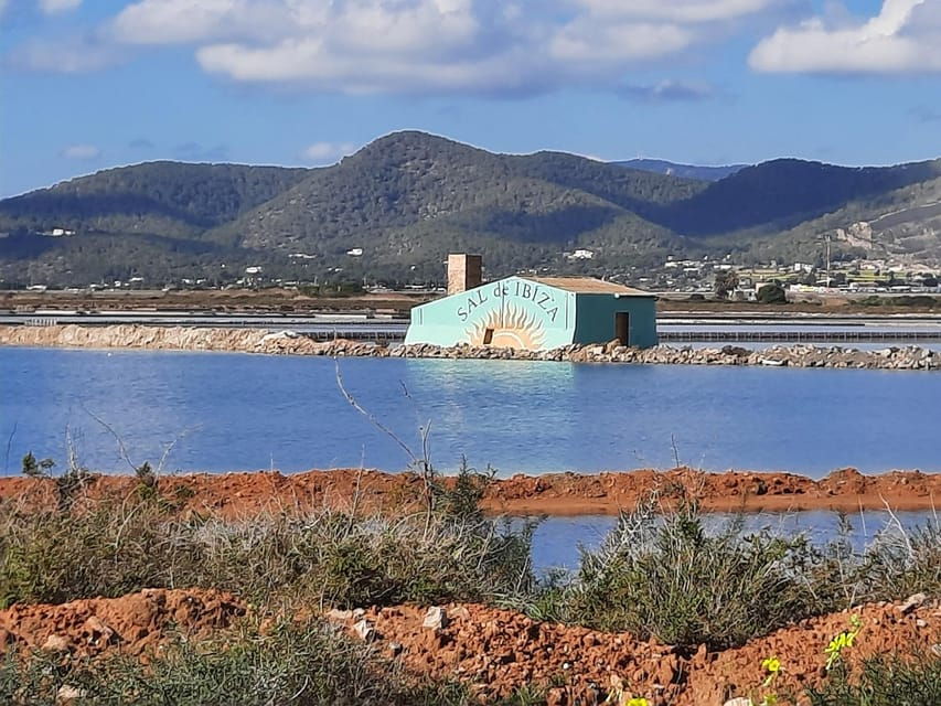 Ibiza: Salines Bike Tour to See Flamingos and Salt - Tour Overview and Details