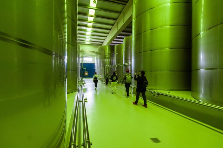 Jaén: Unforgettable Visit to the Olive Mill + EVOO Tasting