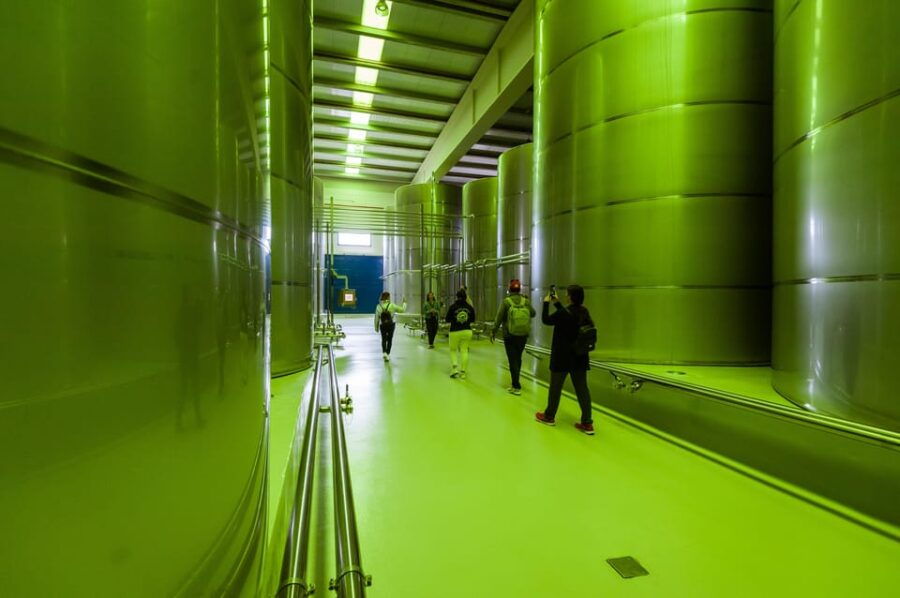 Jaén: Unforgettable Visit to the Olive Mill + EVOO Tasting - Exploring the State-of-the-Art Facility