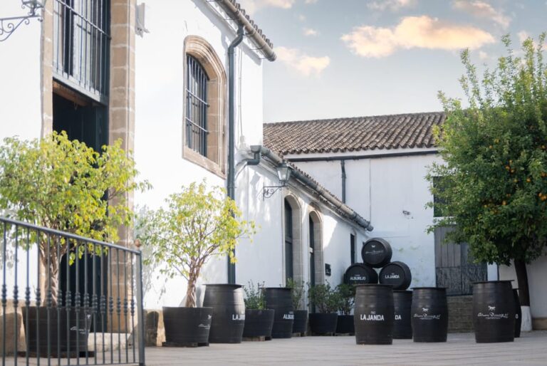 Jerez: Bodegas Álvaro Domecq Guided Tour With Wine Tasting