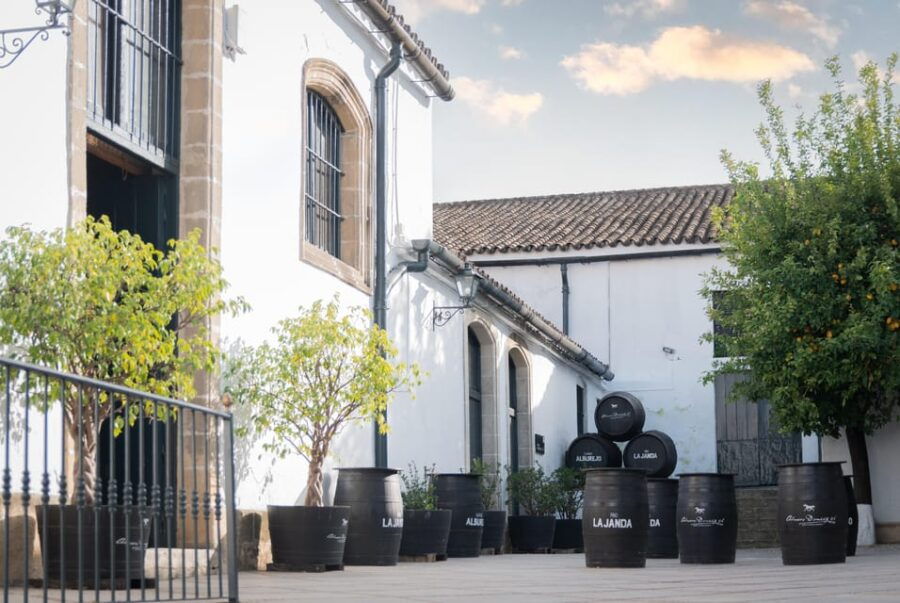 Jerez: Bodegas Álvaro Domecq Guided Tour With Wine Tasting - Tour Overview and Pricing